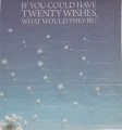 If You Could Have Twenty Wishes